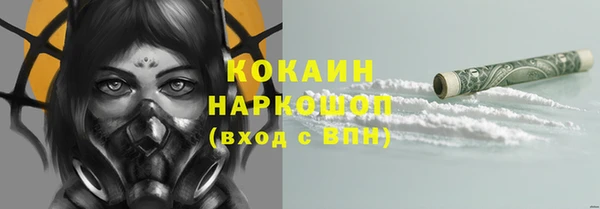 индика Богданович