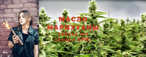 индика Богданович