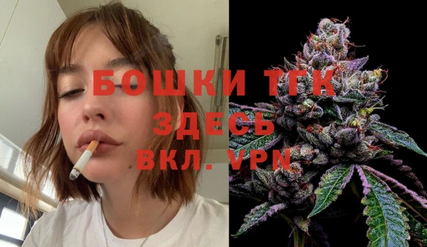индика Богданович