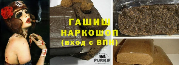 индика Богданович