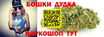 гашик Кинель