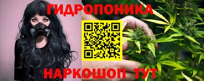 гашик Кинель