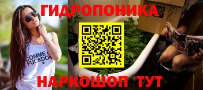 трава Кингисепп