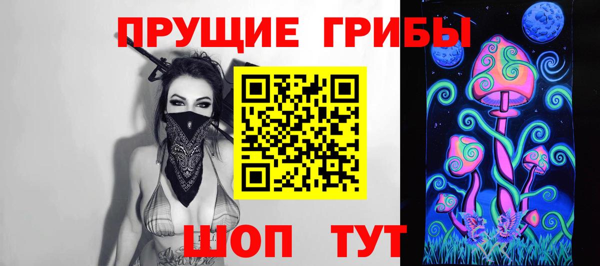 где можно купить   Галлюциногенные грибы GOLDEN TEACHER  Кузнецк  Вход с VPN  Галлюциногенные грибы мицелий 