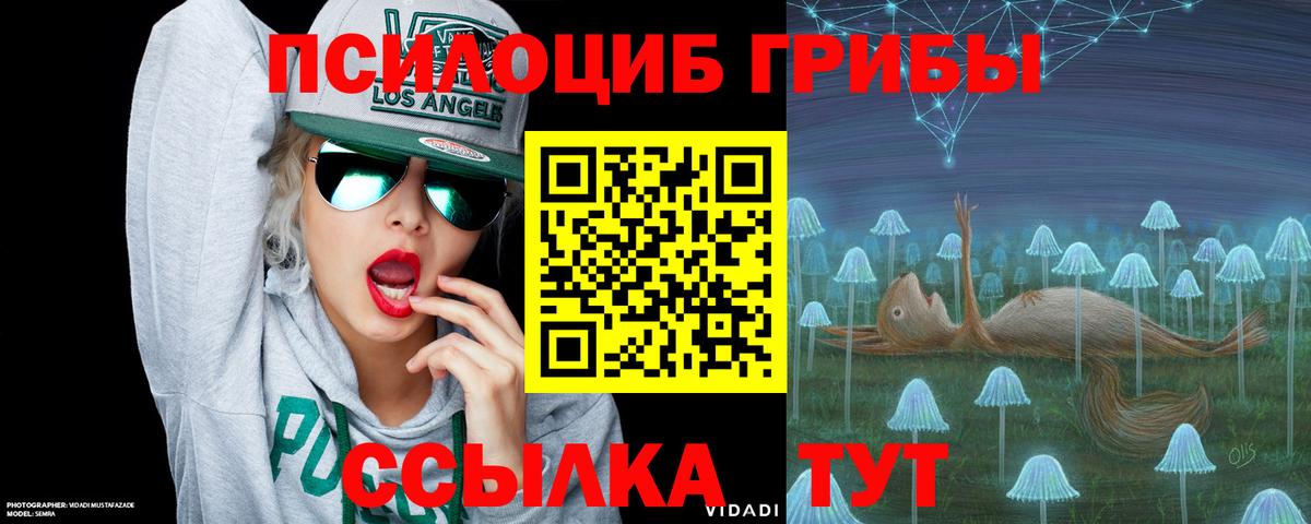 Псилоцибиновые грибы Cubensis Кузнецк